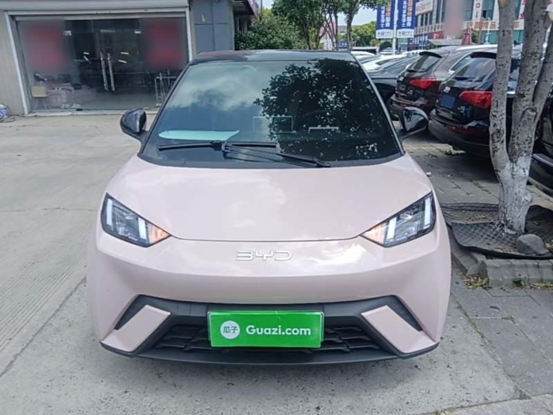 Used BYD Seagull 2024 Honor Edition 305km Freedom Version — 2