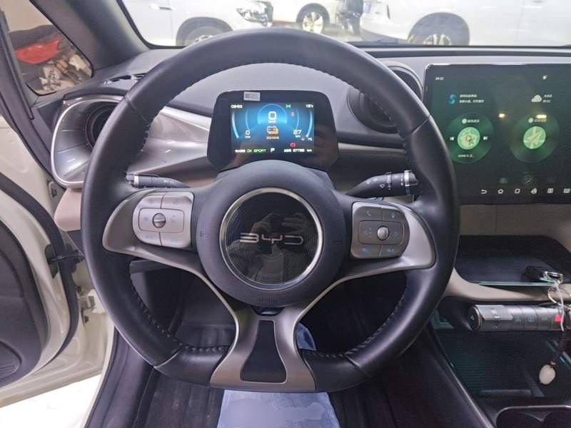 Used BYD Dolphin 2021 405 km Fashion Edition — 10