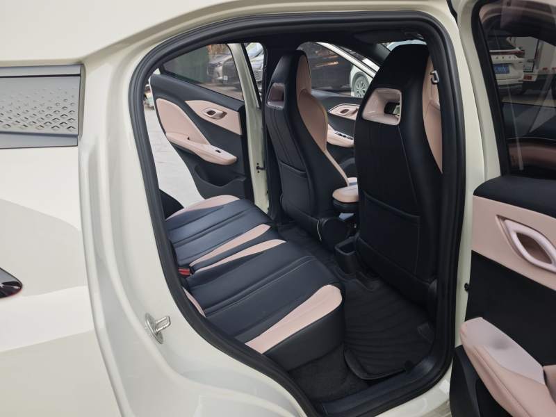 Used BYD Seagull 2023 Active Version — 36