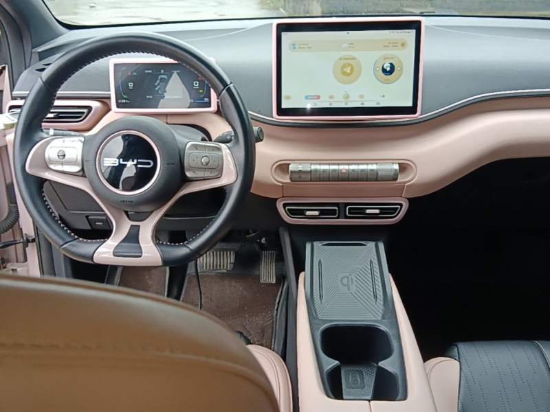 Used BYD Seagull 2024 Honor Edition 305km Freedom Version — 9
