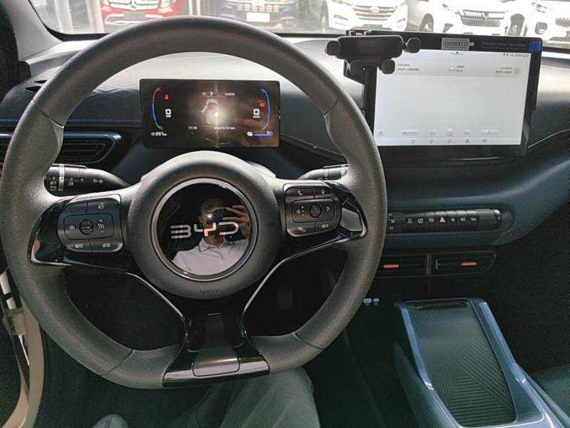 Used BYD Seagull 2025 305 km Free Version — 9