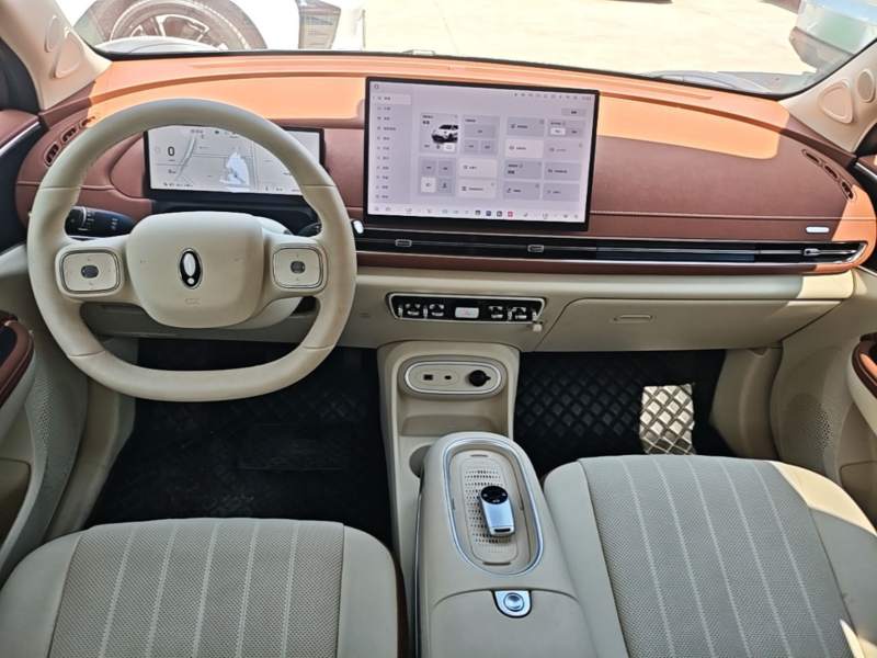 Used ORA Good Cat 2025 Model, 430 km Prestige Version — 9