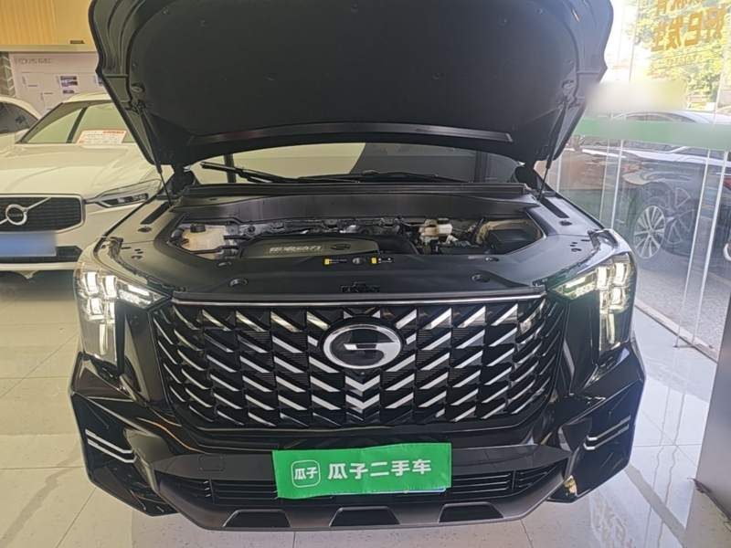 Used GAC Trumpchi GS8 2025 Linghang Series 2.0 TGDI Two-Wheel-Drive Luxury Edition 5 Seats — 19