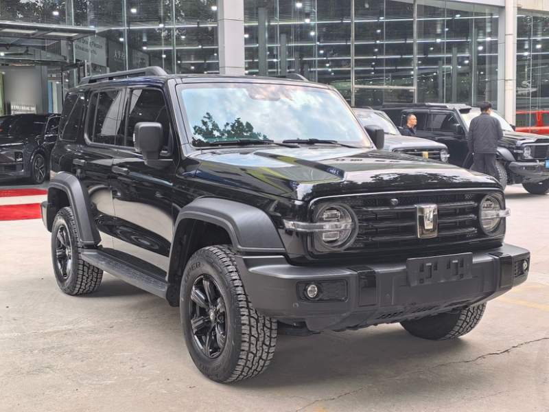 Used Tank 300 2024 2.0T Conqueror — 10