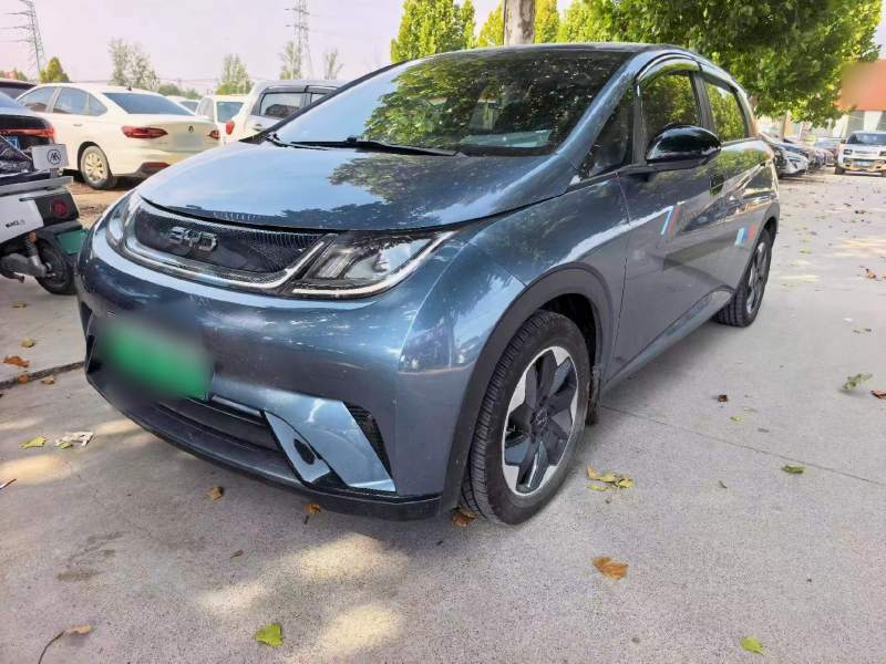 Used BYD Dolphin 2024 Honor Edition 420km Freedom Version — 15