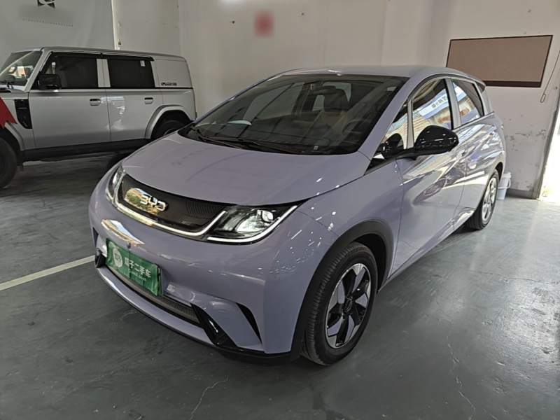 Used BYD Dolphin 2024 Honor Edition 420km Freedom Version — 1