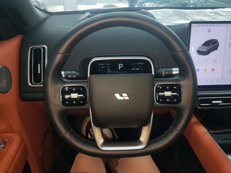 Used Li Auto L8 2024 Max — 10