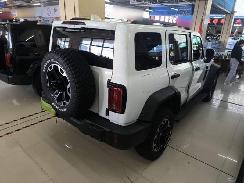 Used Tank 300L New Energy 2026 Model Tank 300L Hi4-Z — 6
