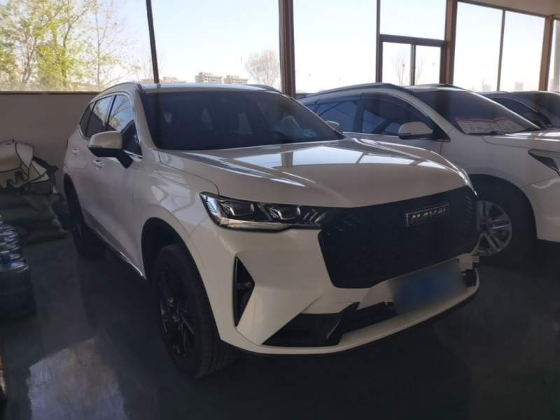 Used Haval H6 2021 3rd Generation 2.0T Automatic All-Wheel Drive Max — 3