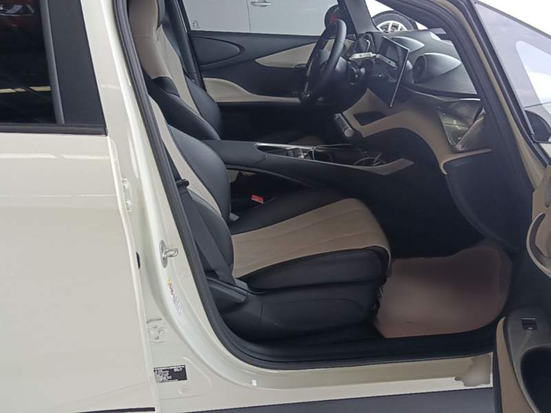 Used BYD Dolphin 2023 420 km Free Version — 24