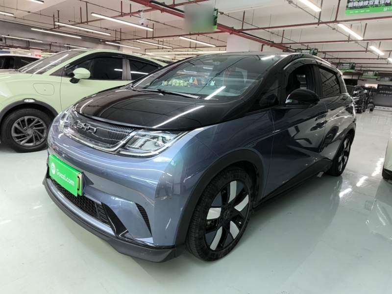 Used BYD Dolphin 2023 401km Knight Edition — 1