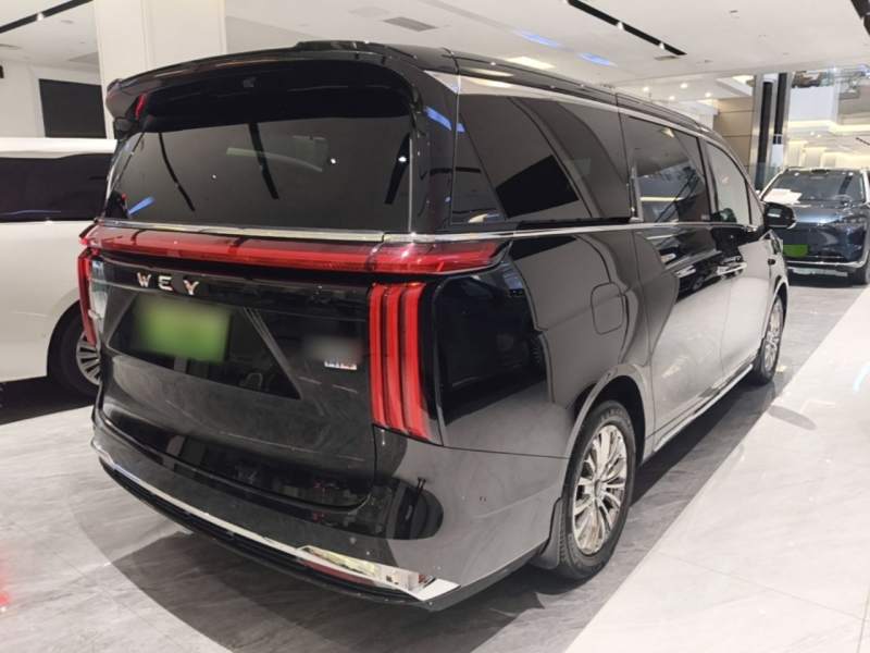Used Wey Gaoshan 2025 Four-Wheel Drive Alpine 8 — 6