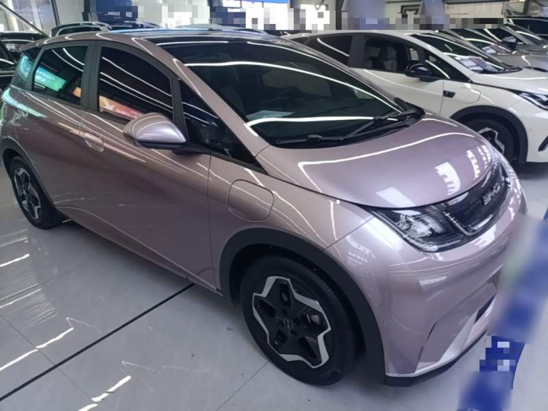 Used BYD Dolphin 2021 405 km Fashion Edition — 3