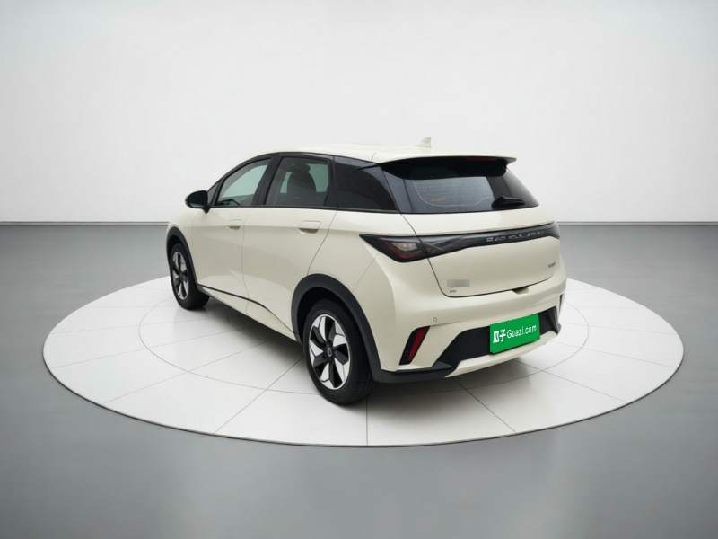 Used BYD Dolphin 2025 420km Free Edition — 4
