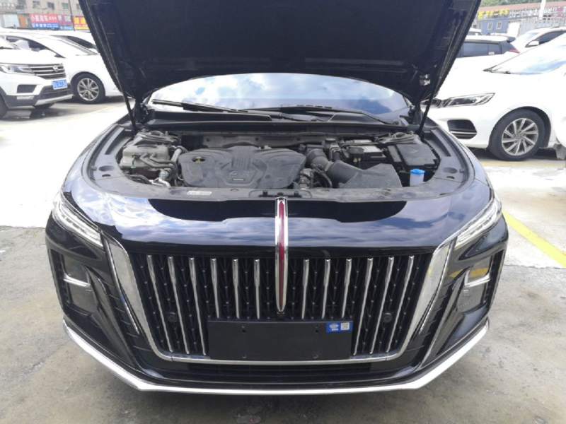 Used Hongqi H5 2024 2.0T Automatic Smart Connect Flagship Edition – Chinese Trim Xiang — 19