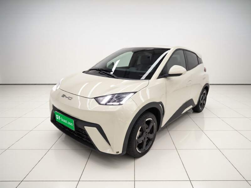 Used BYD Seagull 2023 Free Edition