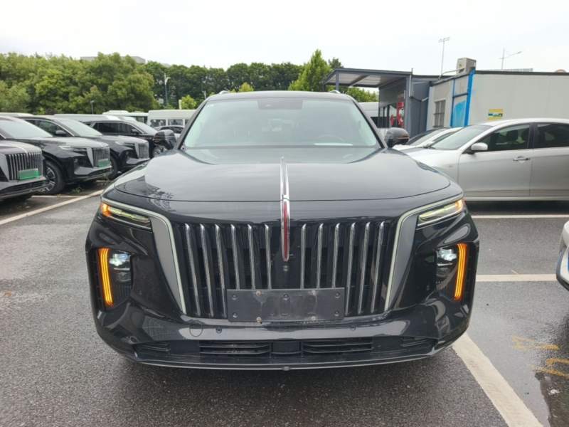 Used Hongqi E-HS9 2021 460 km Range Flagship Edition Six-Seater — 2
