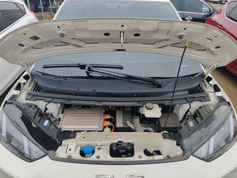 Used BYD Seagull 2023 Active Version — 19