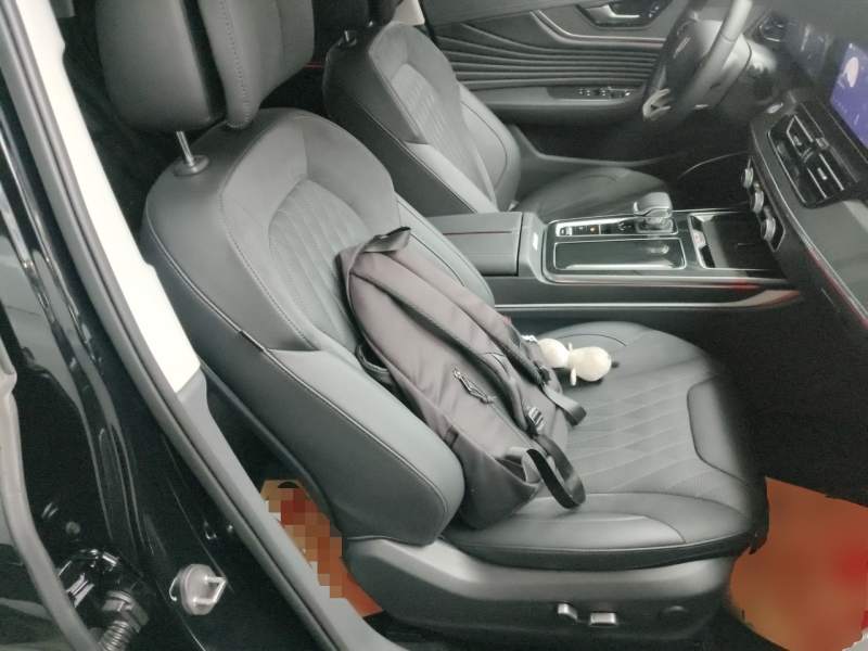 Used Hongqi HS5 2023 2.0T Four-Wheel Drive Flagship Pro Edition – Chinese Trim Xiang — 24