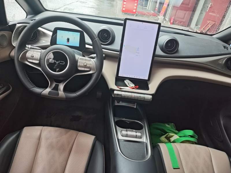 Used BYD Dolphin 2025 420km Free Edition — 9