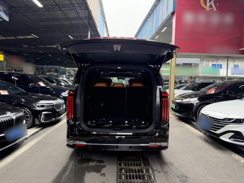 Used Wey Gaoshan 2025 Four-Wheel Drive Alpine 8 — 18