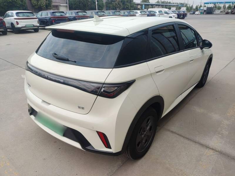 Used BYD Dolphin 2024 Honor Edition 302km Dynamic Version — 6