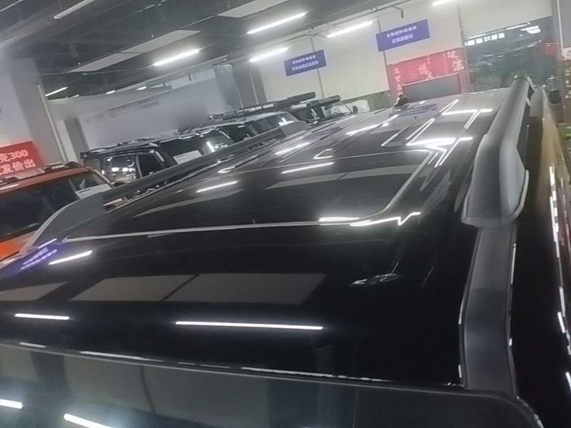 Used Tank 300 2024 2.0T Conqueror — 26