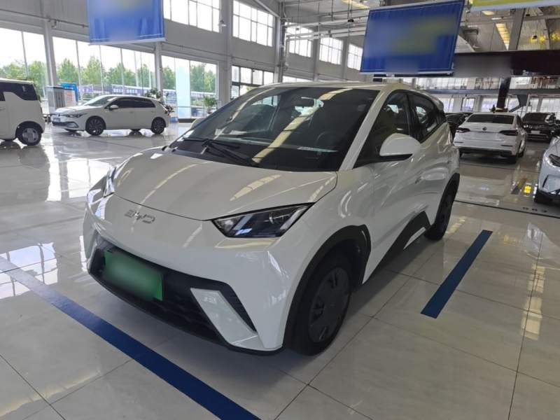 Used BYD Seagull 2025 305km Active Version