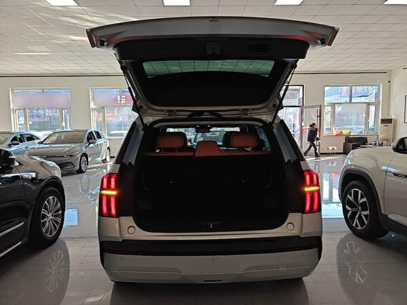 Used AION V 2024 Aion Tyrannosaurus 520 Smart Luxury Edition — 18