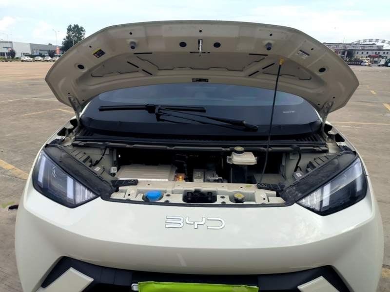 Used BYD Seagull 2024 Honor Edition 305km Dynamic Version — 19