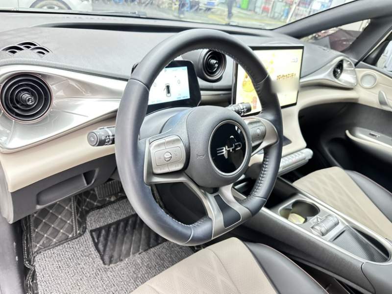 Used BYD Dolphin 2025 420km Free Edition — 32