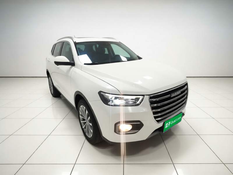 Used Haval H6 2020 2.0 GDIT Automatic Platinum Champion Edition — 3