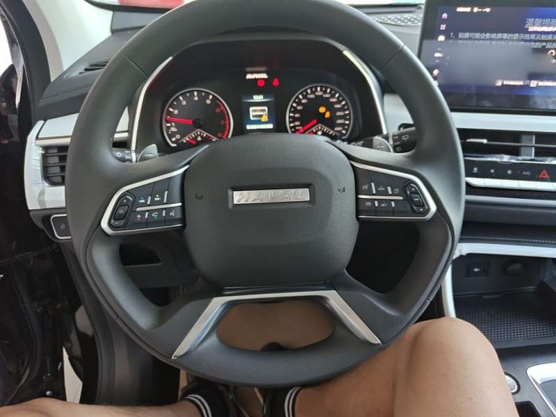 Used Haval H6 2023 National Trend Edition 1.5T Automatic Urban Version — 10