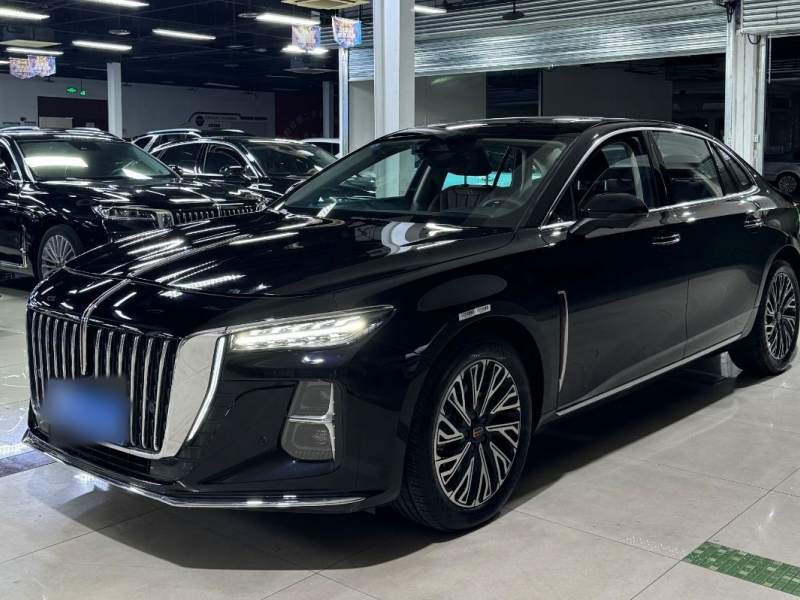 Used Hongqi H5 2025 2.0T Automatic Flag Edition – 500 000 Units Commemorative Version — 27