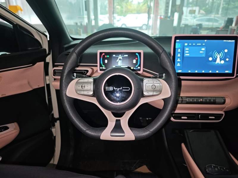 Used BYD Seagull 2024 Honor Edition 305km Dynamic Version — 10