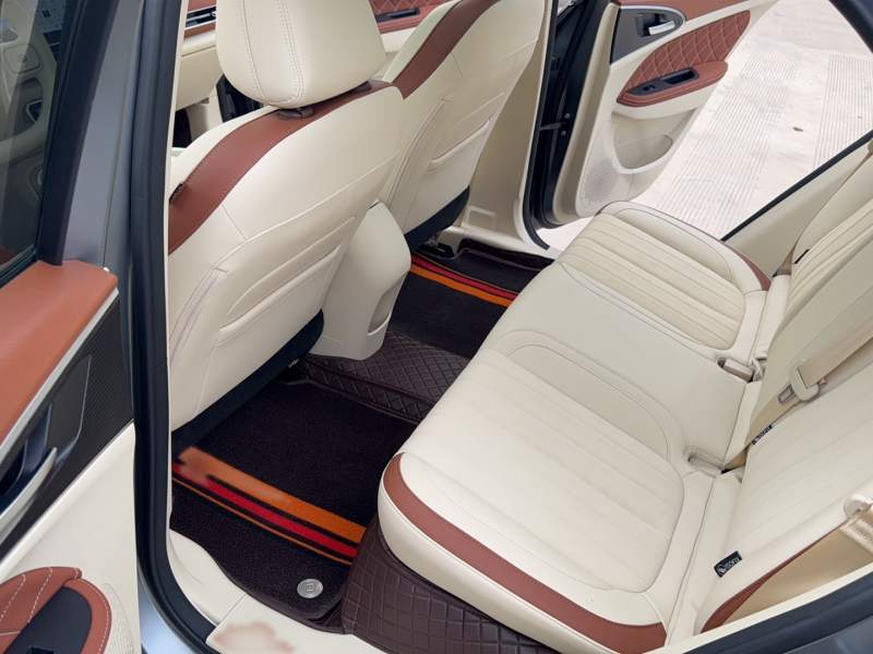 Used ORA Good Cat 2025 Model, 430 km Prestige Version — 33