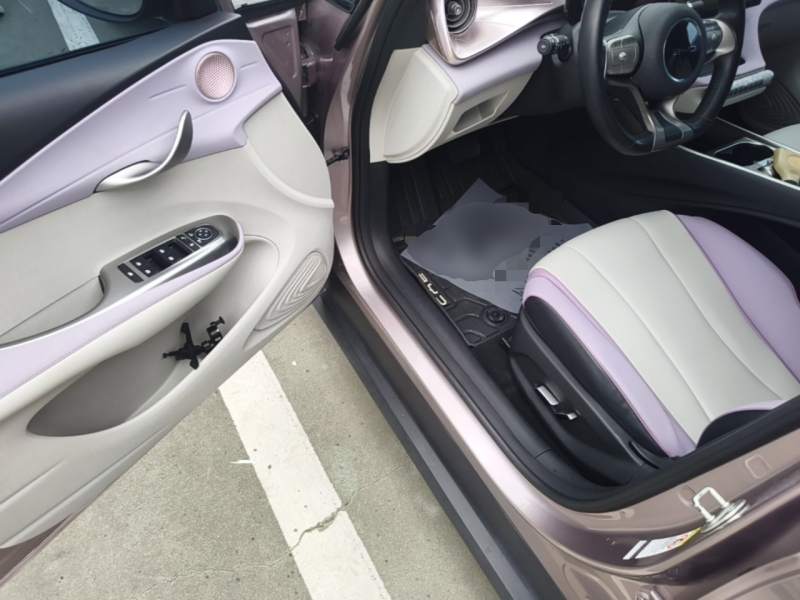 Used BYD Dolphin 2021 401km Knight Edition — 15