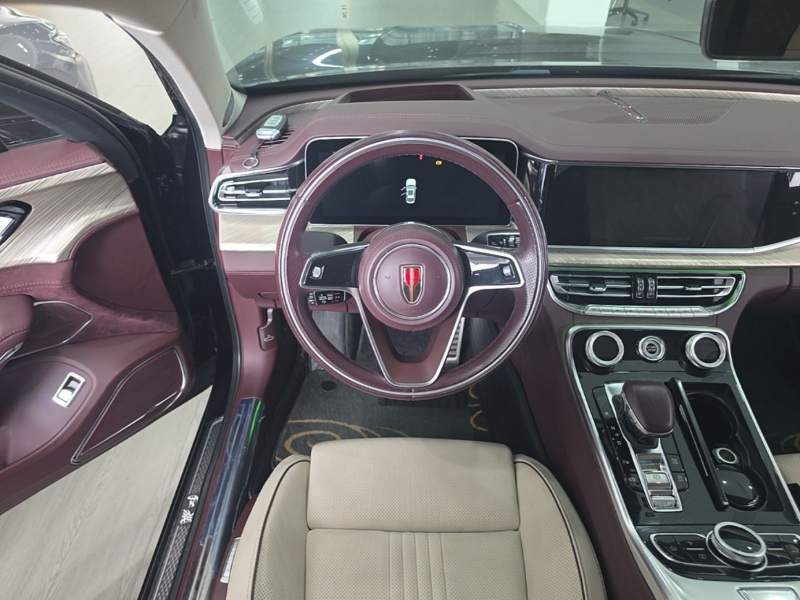 Used Hongqi H9 2020 2.0T Smart Connect Flagship Edition – Chinese Trim Chang — 11