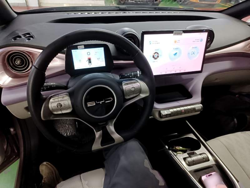 Used BYD Dolphin 2023 401km Knight Edition — 9