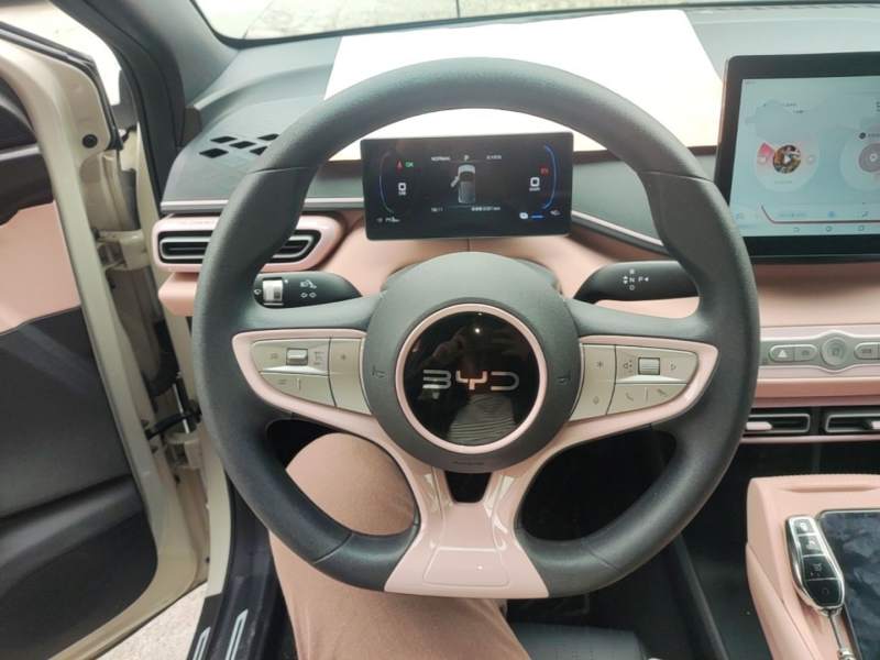 Used BYD Seagull 2025 Intelligent Driving Version 305 km Dynamic Edition — 10