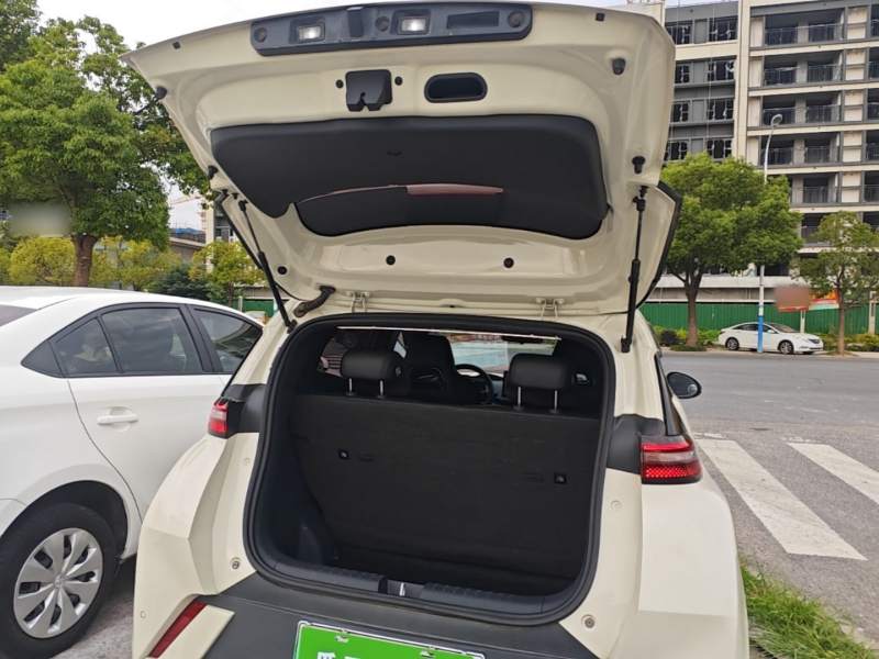 Used BYD Seagull 2023 Active Version — 18