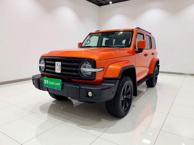 Used Tank 300 2021 City Edition 2.0T—Truly Stylish