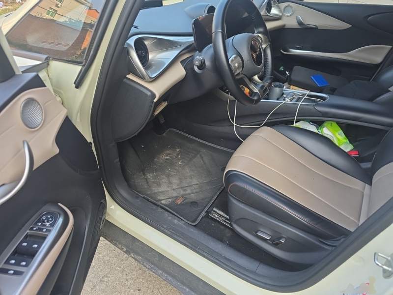 Used BYD Dolphin 2025 420km Free Edition — 12