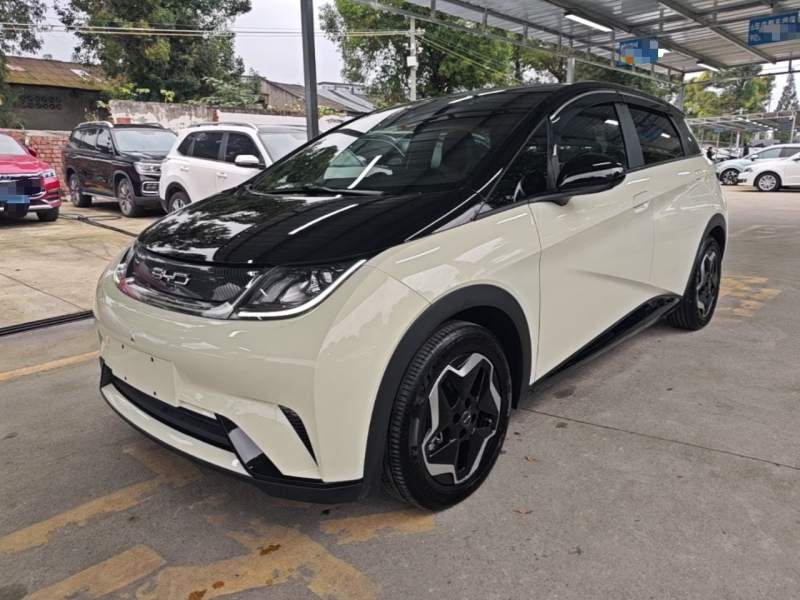 Used BYD Dolphin 2021 405 km Fashion Edition — 1