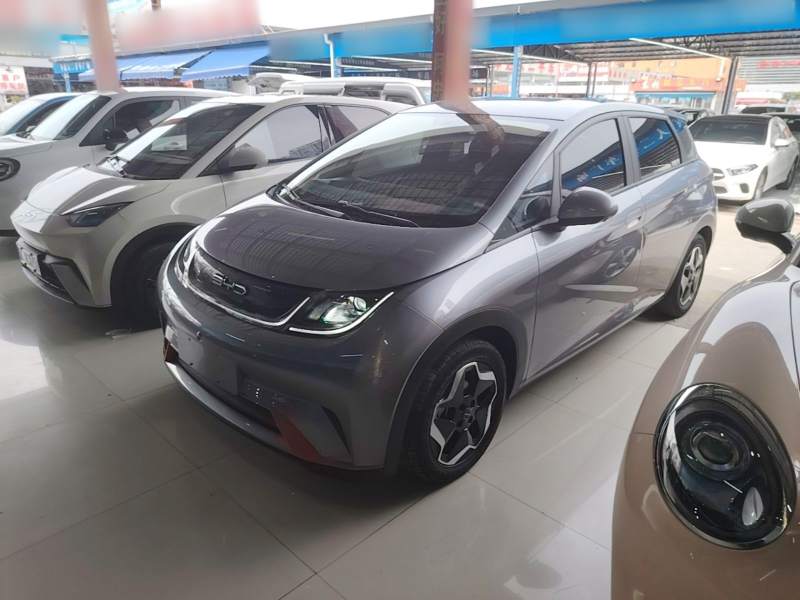Used BYD Dolphin 2021 405 km Free Version