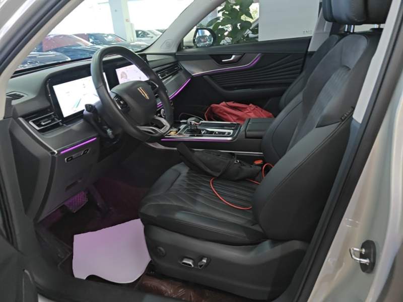 Used Hongqi HS5 2023 2.0T Four-Wheel Drive Flagship Pro Edition – Chinese Trim Xiang — 14