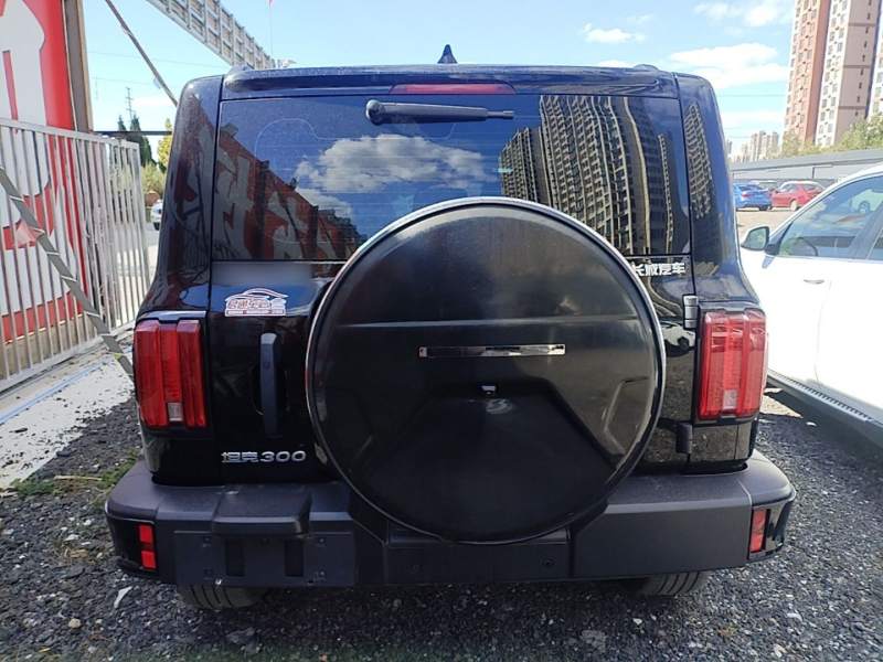 Used Tank 300 2024 2.0T Conqueror — 5