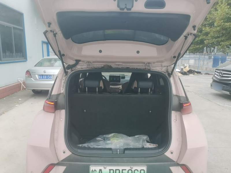 Used BYD Seagull 2023 Free Edition — 18