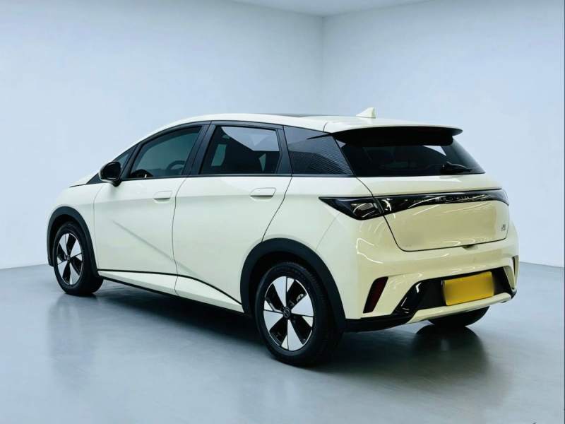 Used BYD Dolphin 2023 420 km Fashion Edition — 31