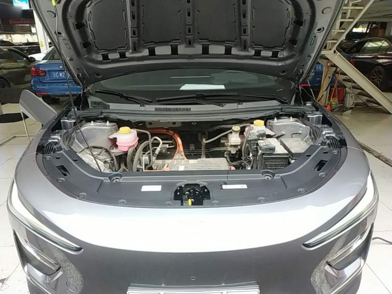 Used NETA X 2024 500 First Edition — 19